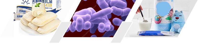 Efficacy-and-Application-Bifidobacterium-adolescentis