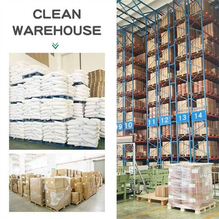 Bifidobacterium-adolescentis-powder-warehouse-4