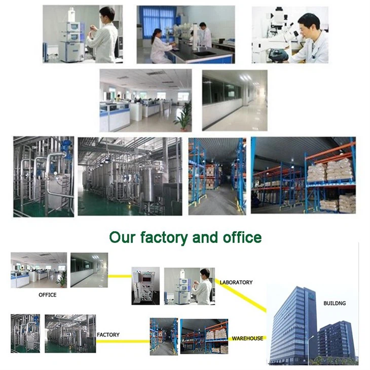 Fructosyl Transferase factory
