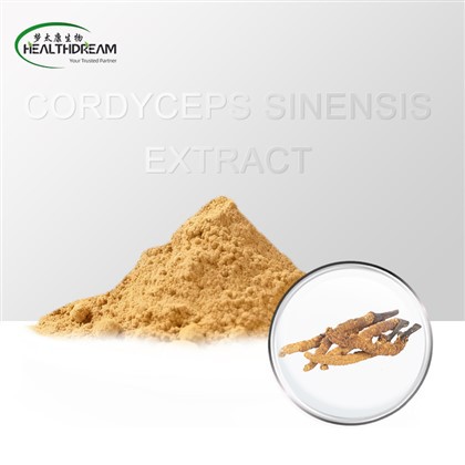 Organski izvleček Cordyceps Sinensis beta glukan 30%